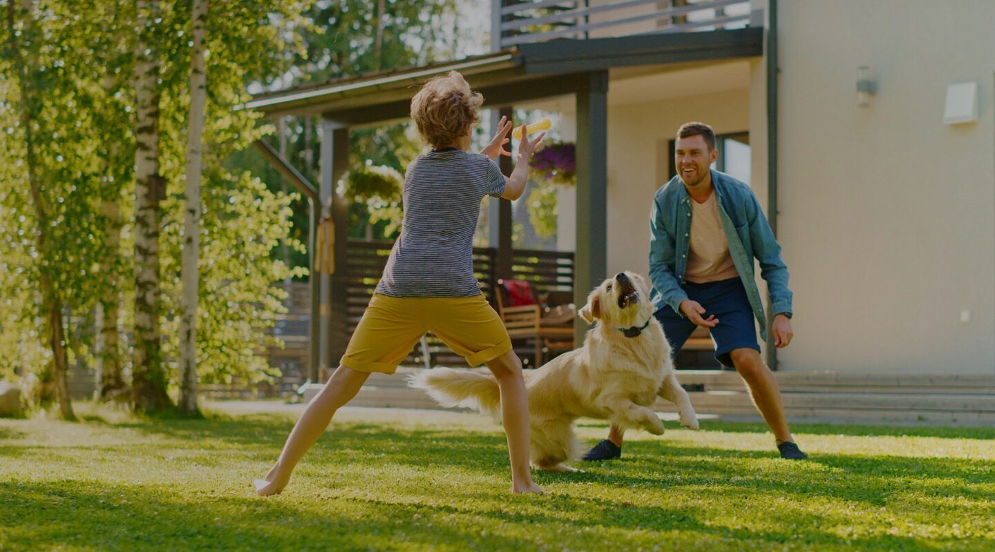 Son and father playing with golden retriever in yard